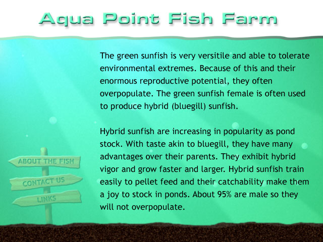 Aqua Point Fish Farm Background